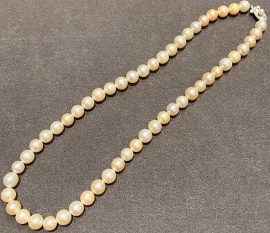 パール ネックレス!!お買取り致しました!!!