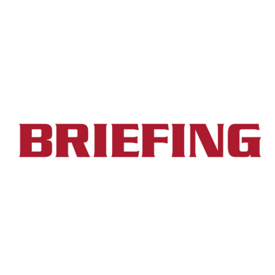 BRIEFING