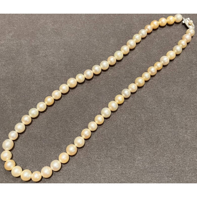 パール  ネックレス！！お買取り致しました！！！